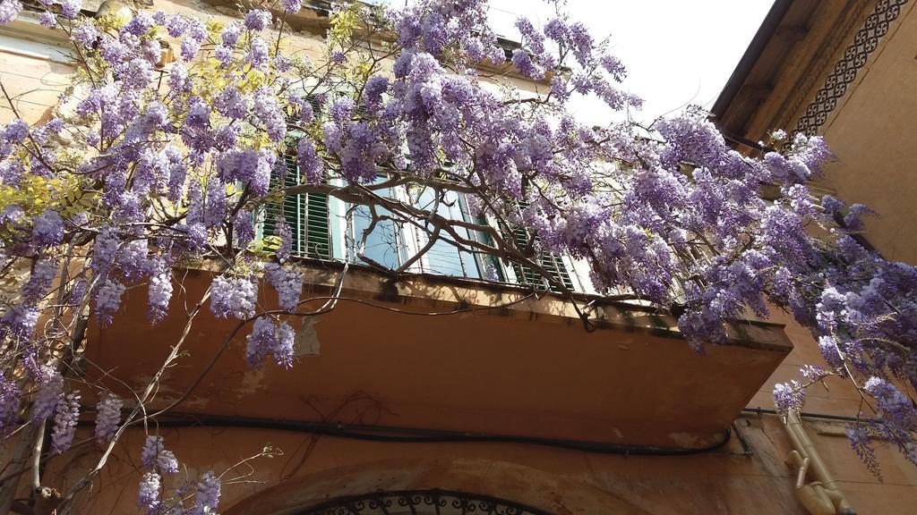 Apartmán Casa Mimi Santa Flavia Exteriér fotografie